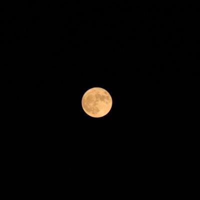La Lune au plus près de nous 14 novembre 2016