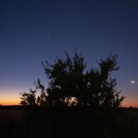 La comète avec Vénus qui se lève et les Pléiades. Les couleurs de fond de ciel annoncent le crépuscule..Etienne club de Royan