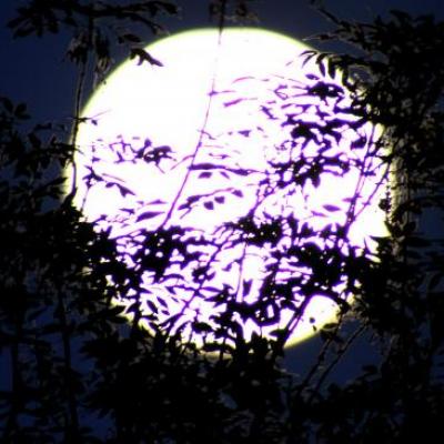 Soir de pleine lune Mai 2011