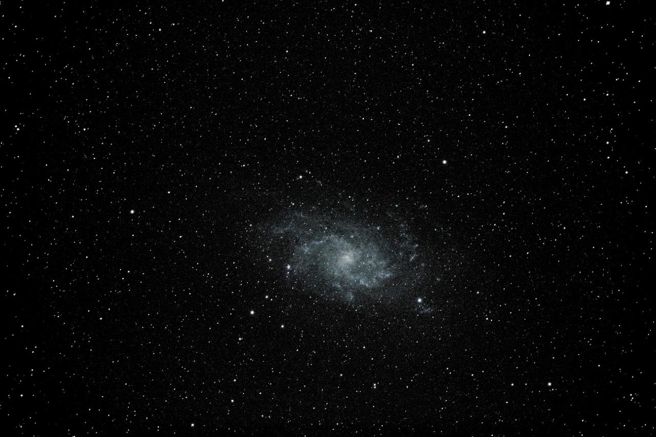 M31